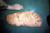 Roger Patterson Bigfoot Cast Web